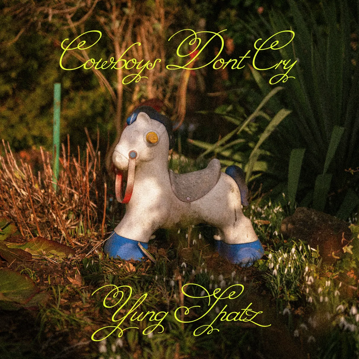 Cover von Cowboys Don’t Cry – yungspatz